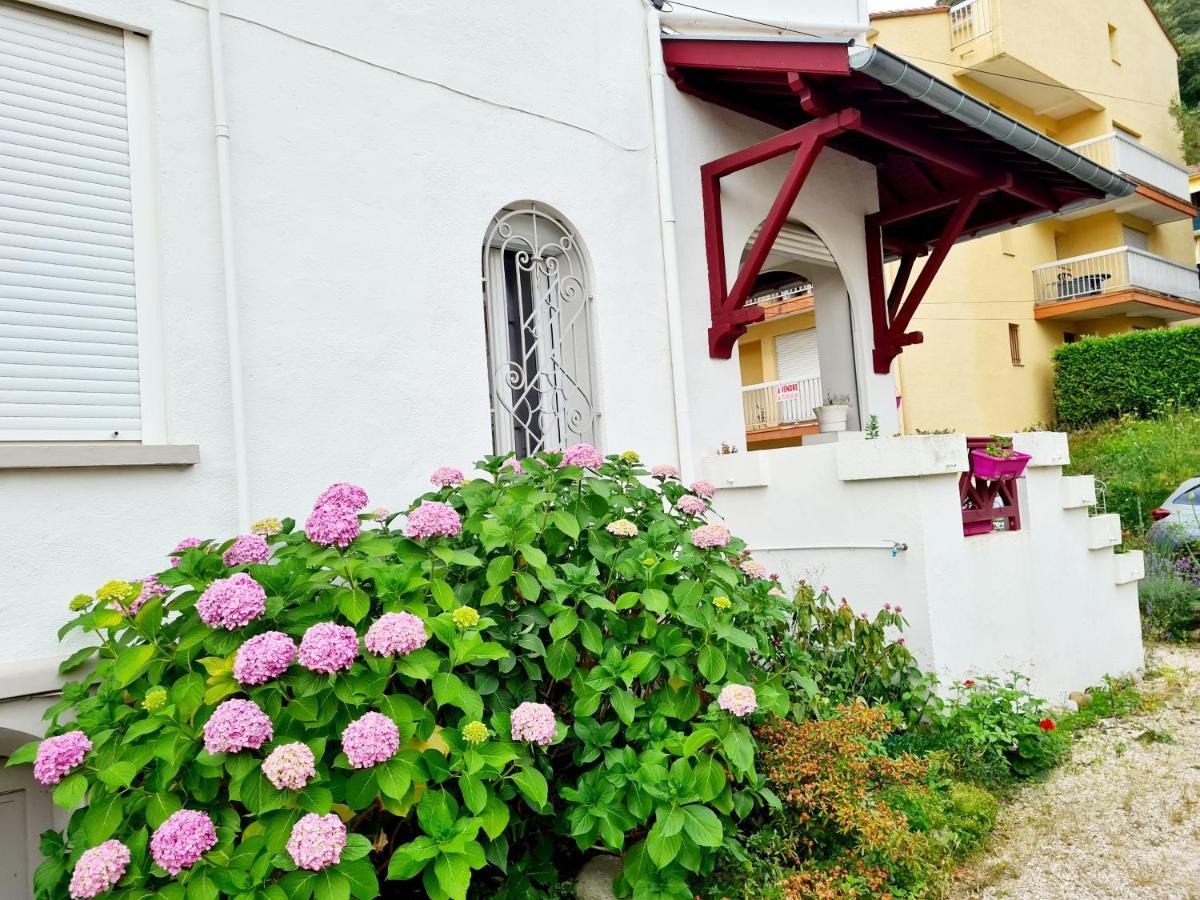 Villa La Closeraie Amélie-les-Bains-Palalda Buitenkant foto
